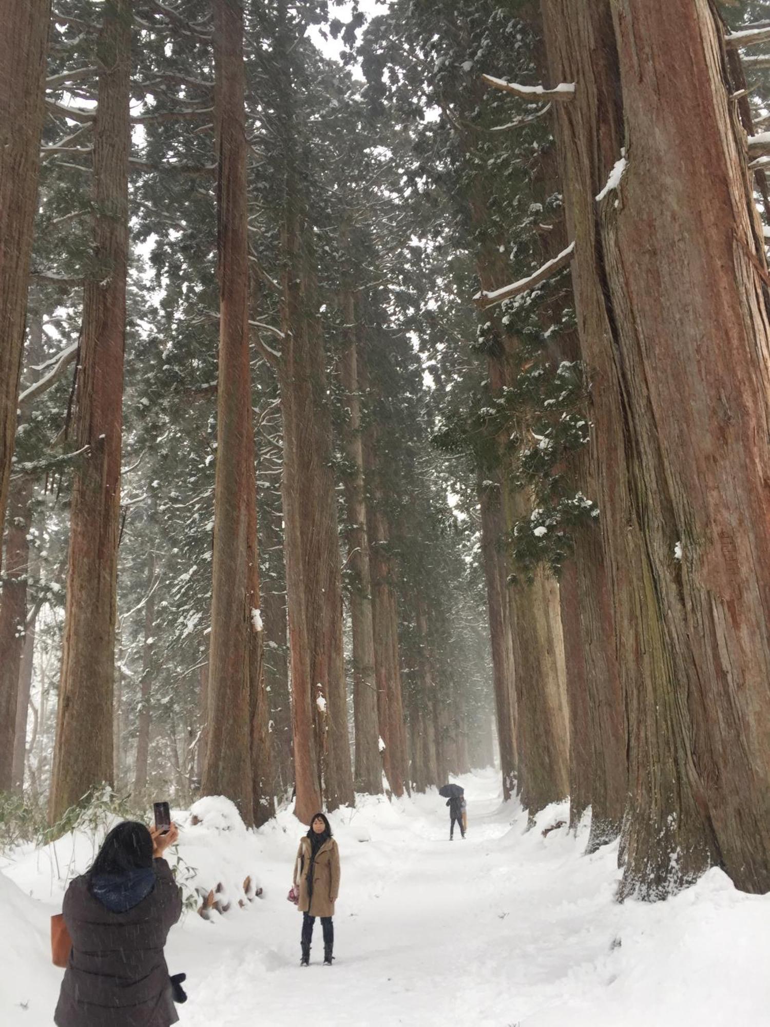Nojiri Lake Resort Shinano  ภายนอก รูปภาพ